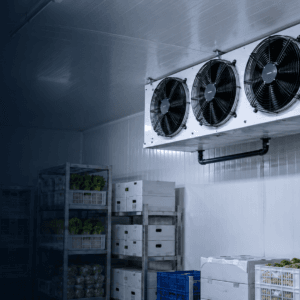 Ceiling-Mounted Air Coolers