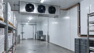 Chambre froide commerciale avec évaporateur de plafond, panneaux isolés, tuyauterie en cuivre et allée de service dégagée